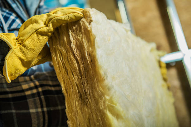 Best Insulation Maintenance and Repair in Bonifay, FL