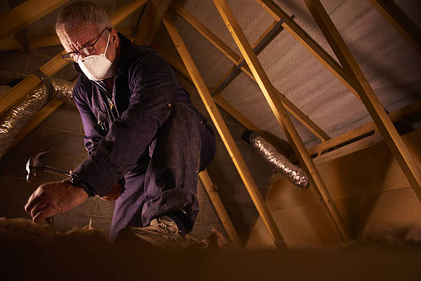 Best Insulation Maintenance and Repair in Bonifay, FL